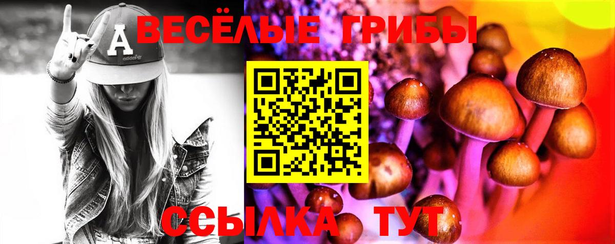 Галлюциногенные грибы прущие грибы  Вход с VPN  Аргун 