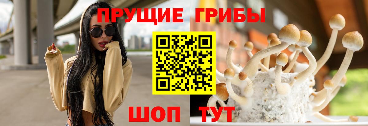 Галлюциногенные грибы ЛСД Аргун